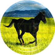 images/stories/virtuemart/category/caballos