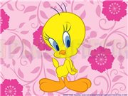piolin